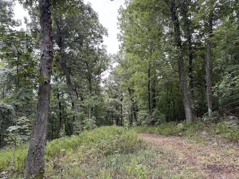 Lick Fork Road, Marshall, AR 72650 photo 49