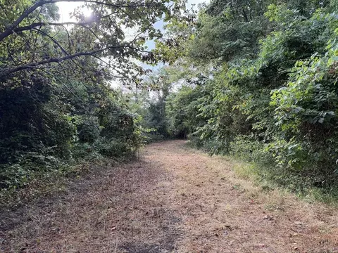 Lick Fork Road, Marshall, AR 72650 photo 36