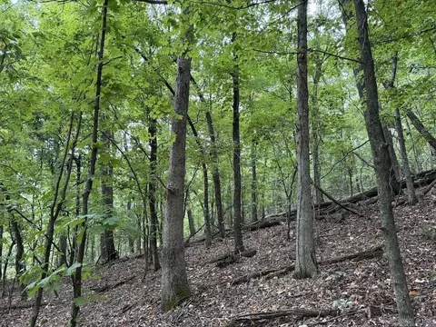 Lick Fork Road, Marshall, AR 72650 photo 47