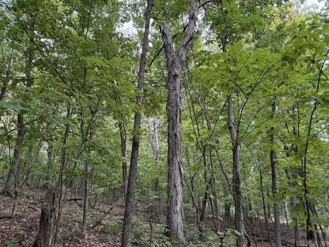Lick Fork Road, Marshall, AR 72650 photo 48