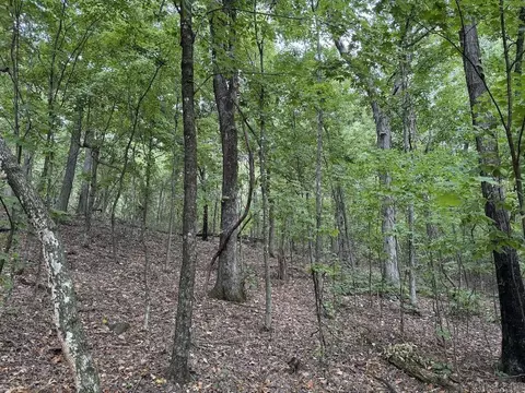 Lick Fork Road, Marshall, AR 72650 photo 46