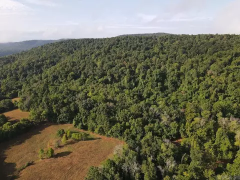 Lick Fork Road, Marshall, AR 72650 photo 12