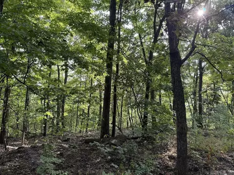 Lick Fork Road, Marshall, AR 72650 photo 39