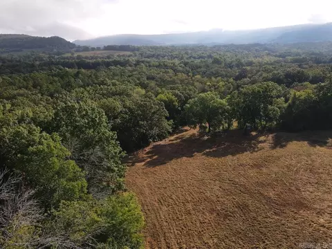 Lick Fork Road, Marshall, AR 72650 photo 9