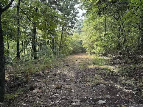 Lick Fork Road, Marshall, AR 72650 photo 40