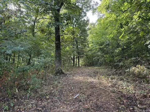 Lick Fork Road, Marshall, AR 72650 photo 38