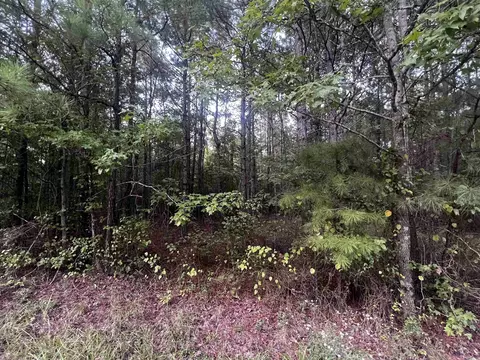 0000 Lanni Ln, White Hall, AR 71602