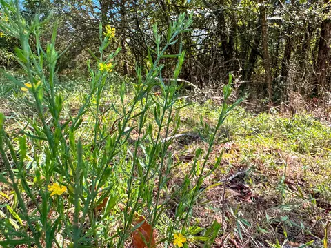 tbd Tupelo Rd, Conway, AR 72034 photo 6
