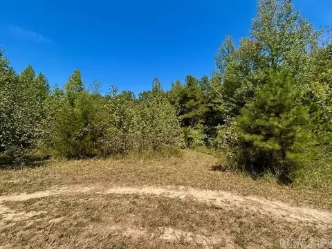 1091 Red River Rd, Fox, AR 72051 photo 29