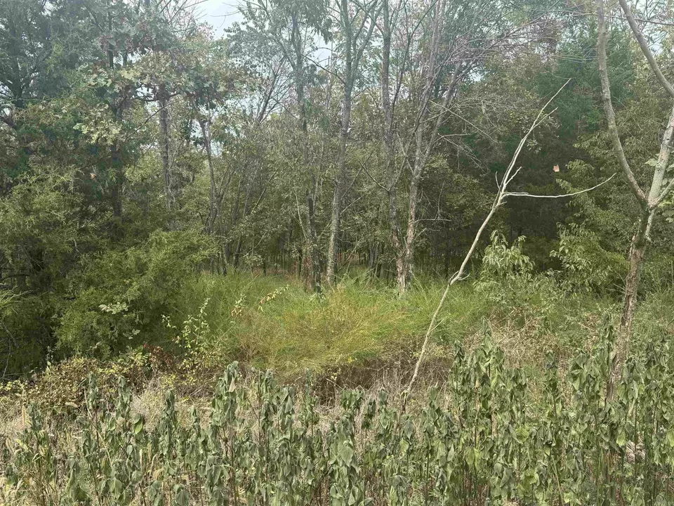  00 Cr 38, Clarkridge, AR 72634 photo 12