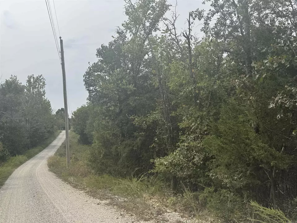  00 Cr 38, Clarkridge, AR 72634 photo 4