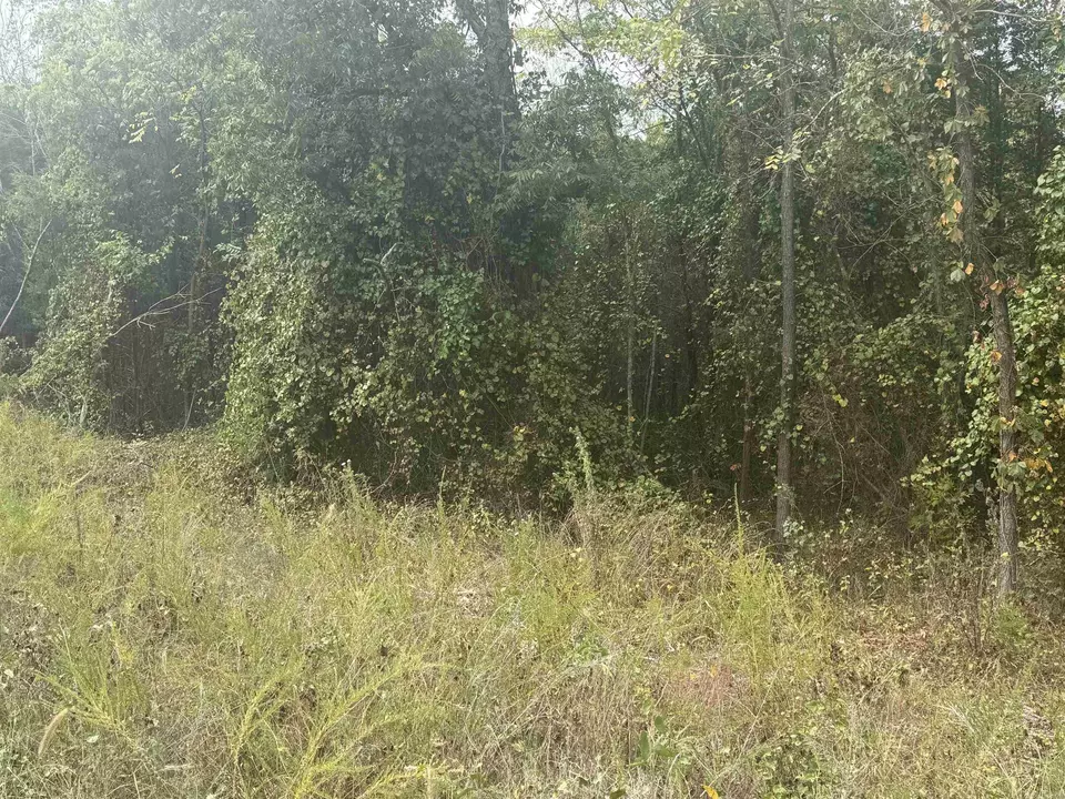  00 Cr 38, Clarkridge, AR 72634 photo 6