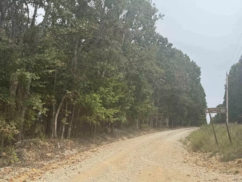  00 Cr 38, Clarkridge, AR 72634 photo 3