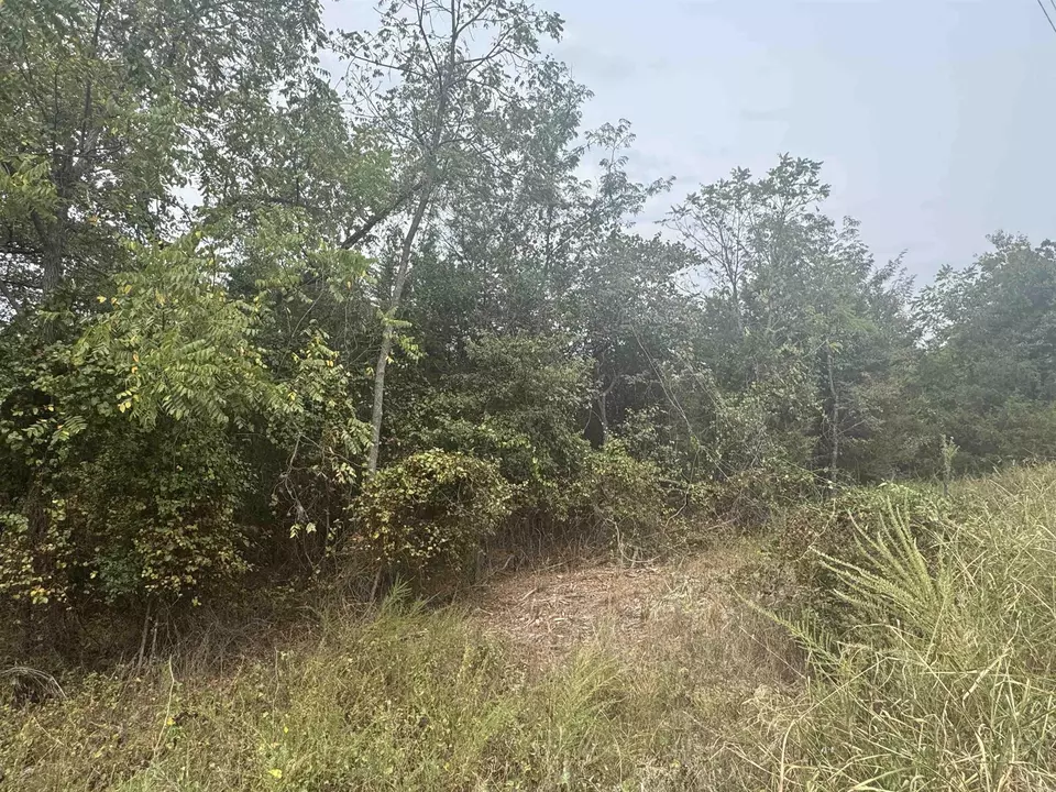  00 Cr 38, Clarkridge, AR 72634 photo 8