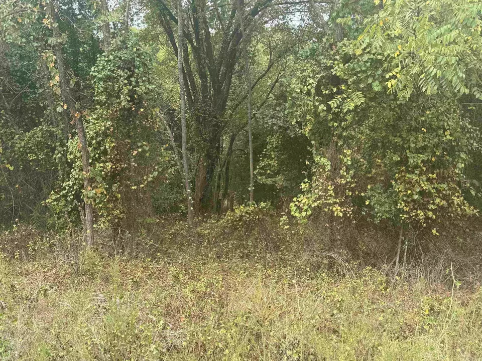 00 Cr 38, Clarkridge, AR 72634 photo 5