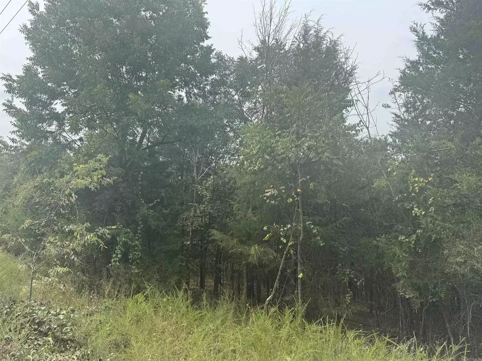  00 Cr 38, Clarkridge, AR 72634 photo 11