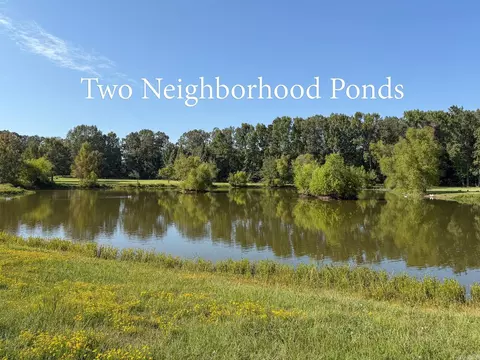 101 Ridge Cv, Beebe, AR 72012 photo 4