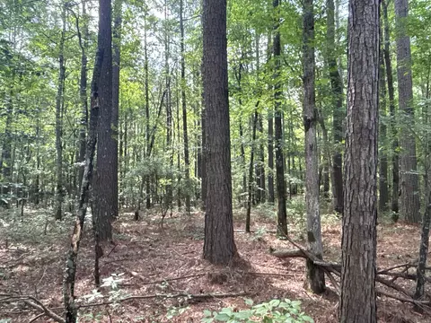 tbd Hwy 371 S E, Rosston, AR 71858