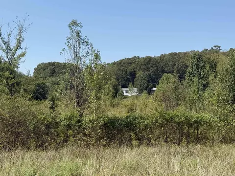 303 Bee Branch Rd, Quitman, AR 72131 photo 38