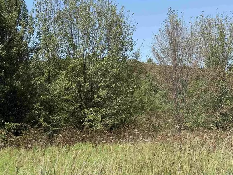 303 Bee Branch Rd, Quitman, AR 72131 photo 37
