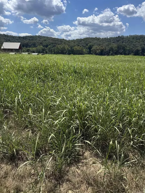 43 White River Run, Guion, AR 72540