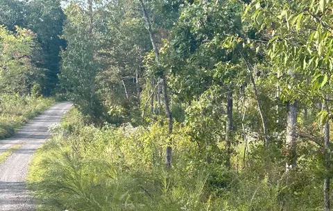 849-889 Presnull Rd, Dennard, AR 72629 photo 3