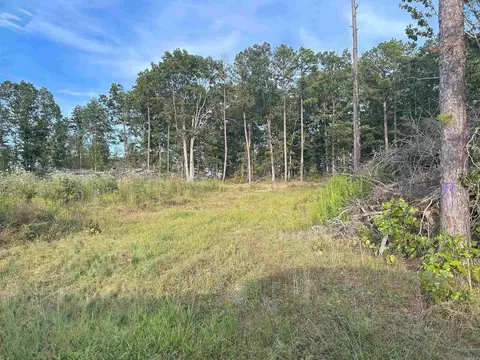 849-889 Presnull Rd, Dennard, AR 72629 photo 2