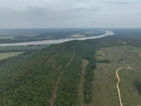 000 Palisades, Bigelow, AR 72016