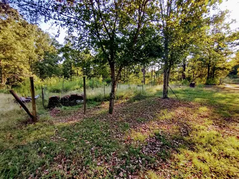 Exterior - 218 Cochran Rd, Mountain View, AR 72560 photo 3 of 7