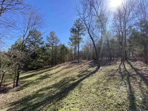 48 Wildlife Ln, Mount Ida, AR 71957 photo 24