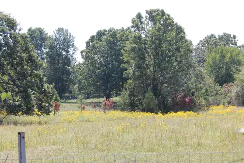 2462 Hilltop Rd, Marshall, AR 72650 photo 18