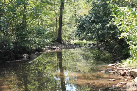 2462 Hilltop Rd, Marshall, AR 72650 photo 21