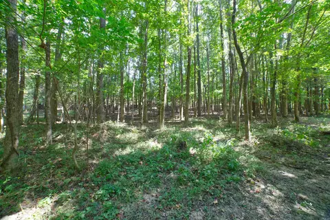 5 Mockingbird Cir, Marmaduke, AR 72443 photo 5