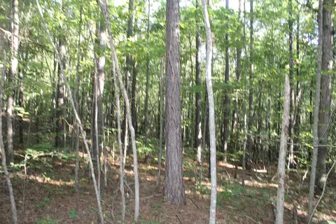 000 Greta Rd, Clinton, AR 72031 photo 10