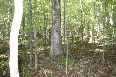 000 Greta Rd, Clinton, AR 72031 photo 12