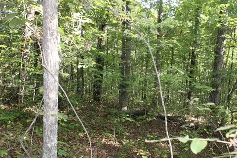 000 Greta Rd, Clinton, AR 72031 photo 17