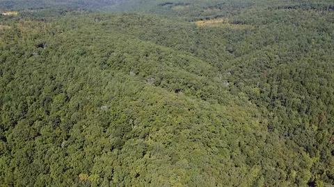 000 Greta Rd, Clinton, AR 72031 photo 23
