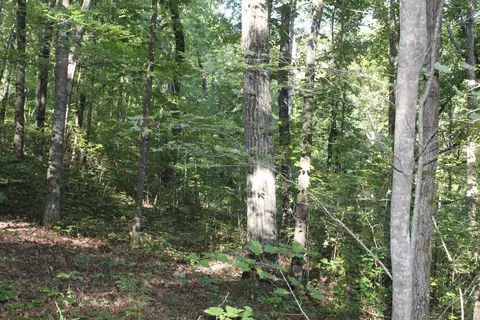000 Greta Rd, Clinton, AR 72031 photo 19