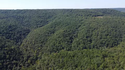 000 Greta Rd, Clinton, AR 72031 photo 24