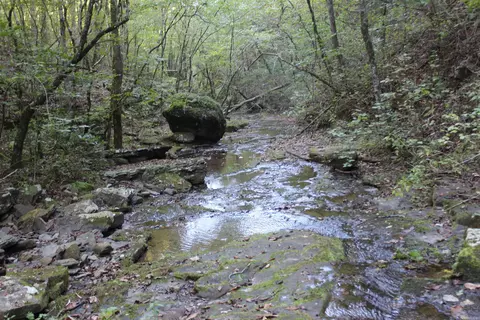 000 Greta Rd, Clinton, AR 72031 photo 6