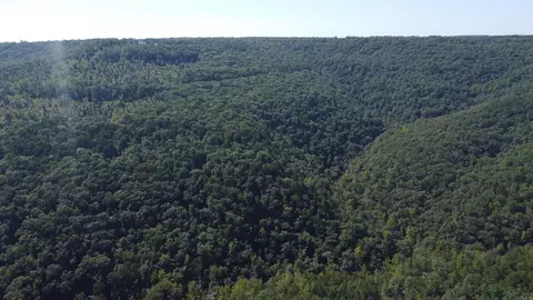 000 Greta Rd, Clinton, AR 72031 photo 25