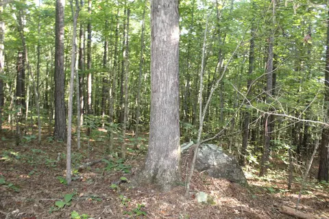 000 Greta Rd, Clinton, AR 72031 photo 9