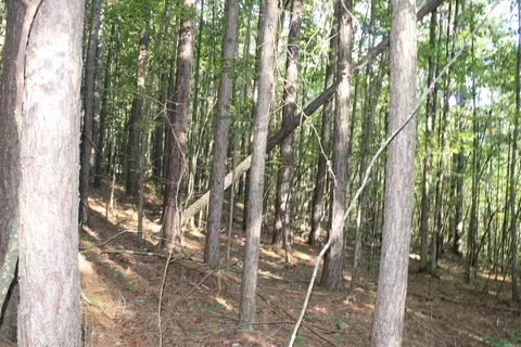 000 Greta Rd, Clinton, AR 72031 photo 15