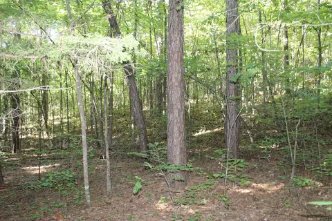 000 Greta Rd, Clinton, AR 72031 photo 11