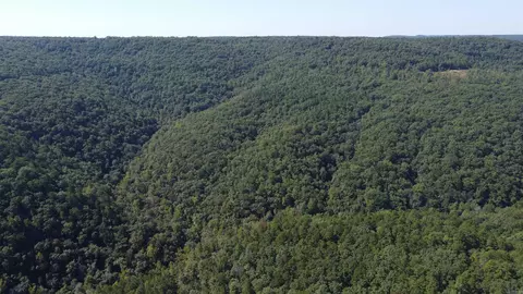 000 Greta Rd, Clinton, AR 72031 photo 26