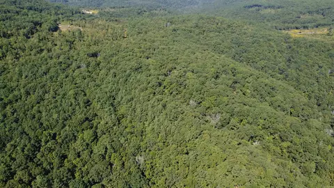000 Greta Rd, Clinton, AR 72031 photo 22