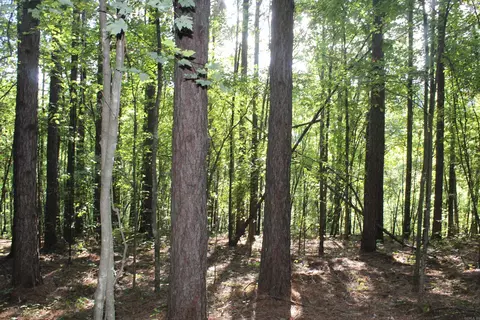 000 Greta Rd, Clinton, AR 72031 photo 14