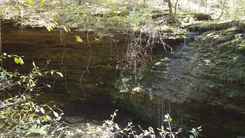 000 Greta Rd, Clinton, AR 72031 photo 35