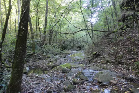 000 Greta Rd, Clinton, AR 72031 photo 5