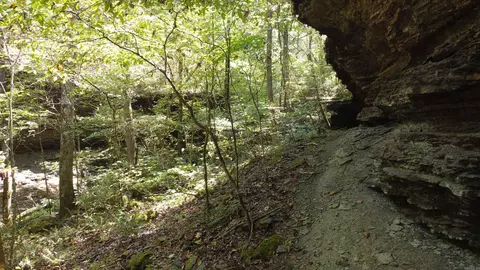 000 Greta Rd, Clinton, AR 72031 photo 31